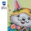 Petits animaux