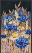 Fleurs de bleuet
