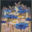 Fleurs de bleuet