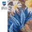 Fleurs de bleuet