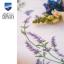 Nappe - Lavande et papillons