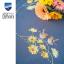 Nappe - Rouges-gorges et fleurs jaunes