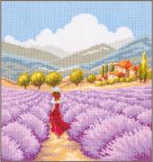 Paysage de lavande en Provence