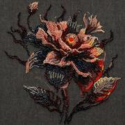 Fleur de la nuit