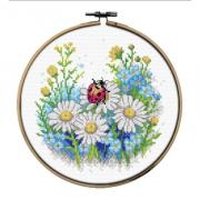 Coccinelle
