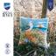 Coussin - Brise marine