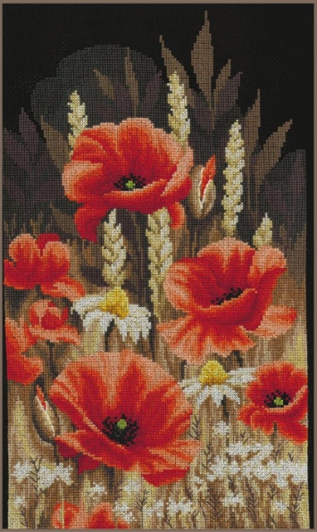 Coquelicots sauvages