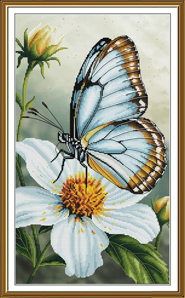 Papillon