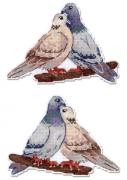 Colombe et tourterelle