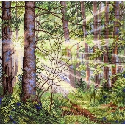 Forêt ensoleillée
