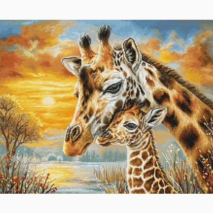 Câlin de girafe