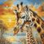 Câlin de girafe