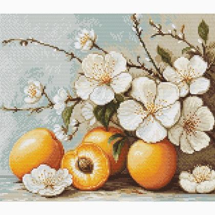 Fleur d\'abricotier