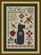 Scottie June Dog