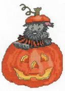 Scottie Pumpkin