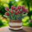 Tulipes