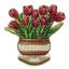 Tulipes