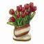 Tulipes