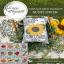 Vintage Seed Packets - Sunflower