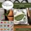 Vintage Seed Packets - Peas