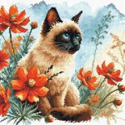 Le jardin du chat