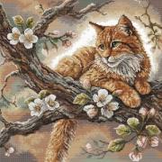 Chat sur le pommier