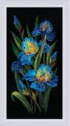 Beaux iris
