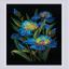 Beaux iris