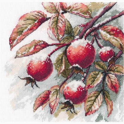 Rêves d\'hiver