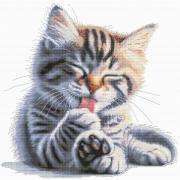 Soft paws