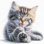 Soft paws