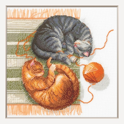Cats and Threads