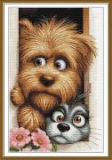 Couple curieux
