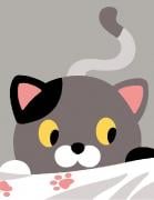 Petit chat