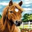 Cheval