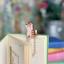 Marque-page - Cat - Stripey