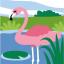 Flamant rose