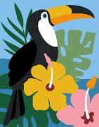 Toucan