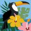 Toucan