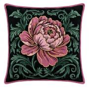 Pivoine