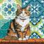 Chat dans le jardin