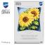 Coussin - Tournesols