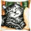 Coussin - Chat avec un livre