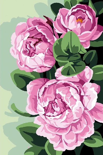 Pivoines