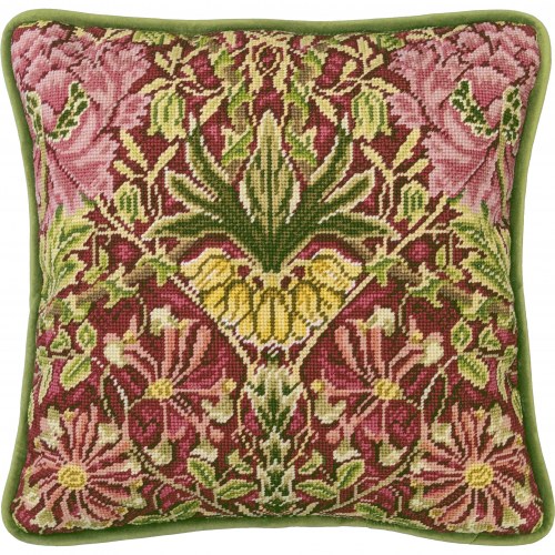 Honeysuckle And Tulip