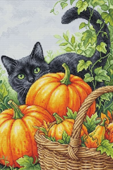 Charme d\'octobre