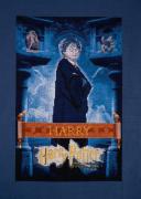 DMC Harry Potter – Poster Harry