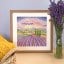 Lavender Fields