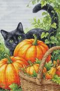Charme d'octobre