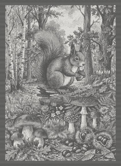 Serviette - Tesori del Bosco - Anthracite - NO Aida